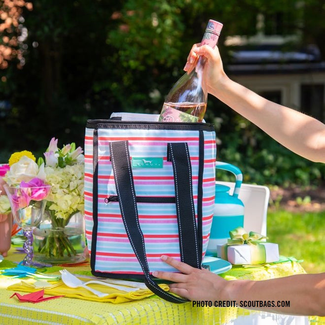 COOLERS &amp; TOTES