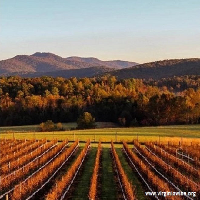 CELEBRATE VIRGINIA WINES