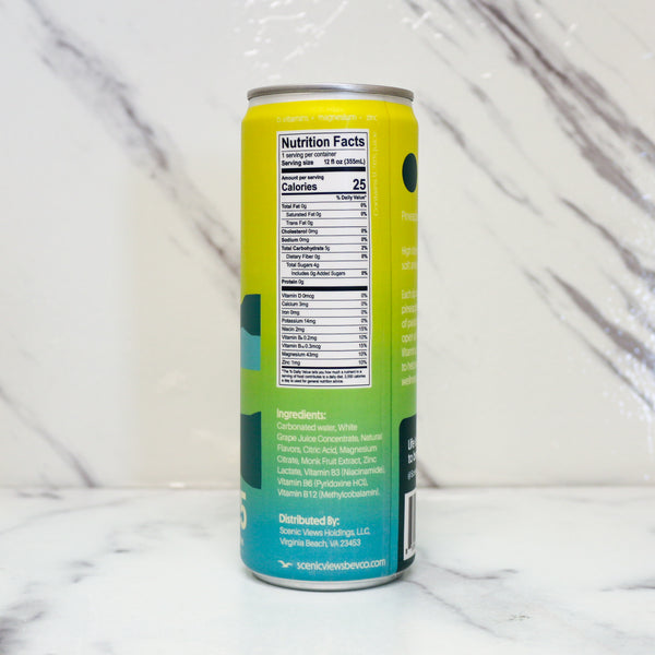 SCENIC VIEWS | HIGH TIDE SELTZER