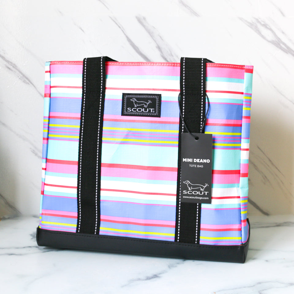 SCOUT Mini Deano, Friyay – TASTE.online